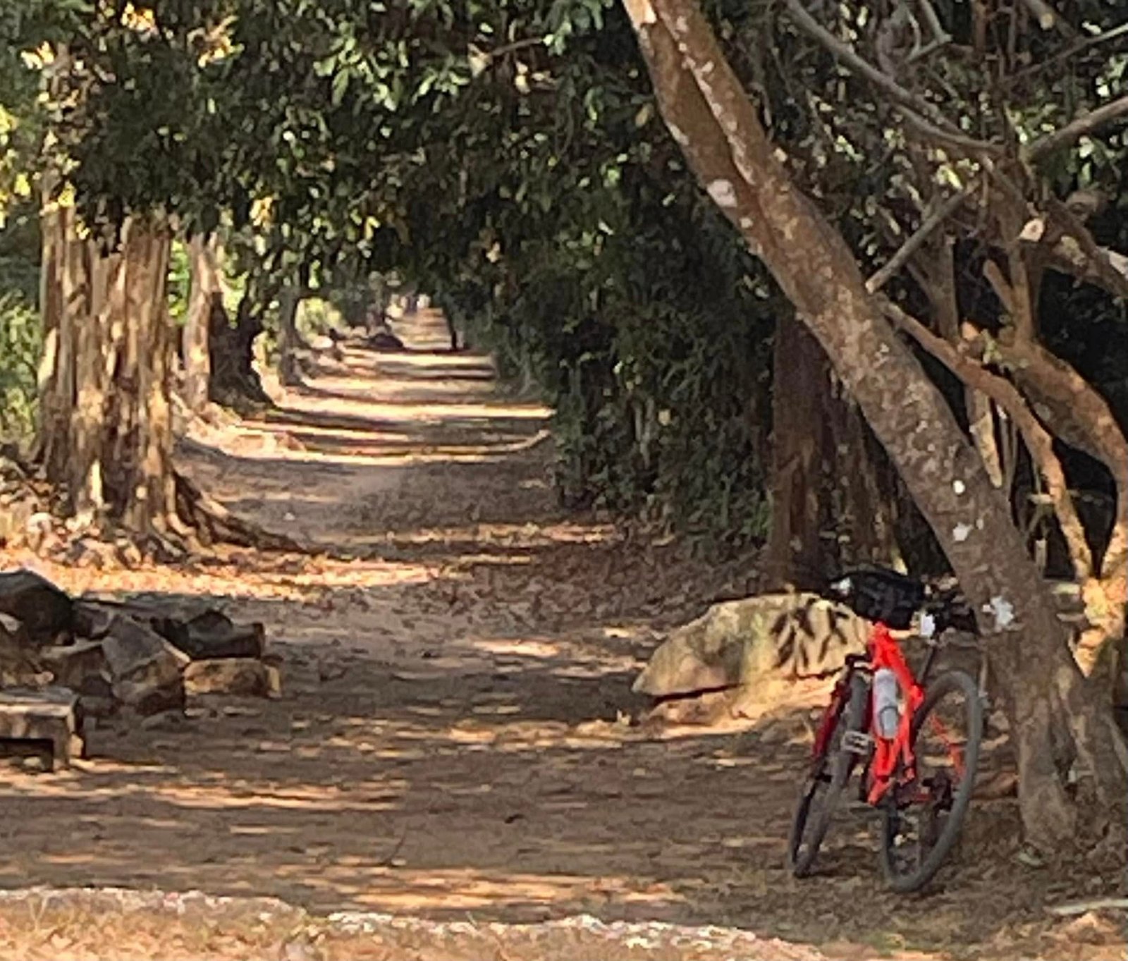 Phnom Penh Biking To Kampong Cham Siem Reap 3 Days